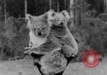 Immagine di Queen Elizabeth Australia, 1954, secondo 28 filmato di repertorio 65675045464