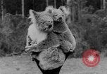 Immagine di Queen Elizabeth Australia, 1954, secondo 29 filmato di repertorio 65675045464