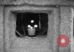 Image of Sadao Iguchi Washington DC USA, 1954, second 28 stock footage video 65675045470