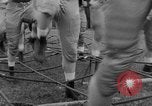 Image of Terry Brennan South Bend Indiana USA, 1954, second 24 stock footage video 65675045471