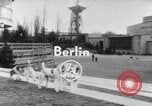 Image of International dog show Berlin Germany, 1954, second 4 stock footage video 65675045472