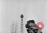 Image of International dog show Berlin Germany, 1954, second 9 stock footage video 65675045472