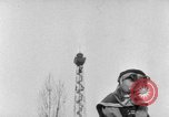 Image of International dog show Berlin Germany, 1954, second 10 stock footage video 65675045472