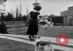 Image of International dog show Berlin Germany, 1954, second 13 stock footage video 65675045472