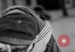Image of International dog show Berlin Germany, 1954, second 15 stock footage video 65675045472