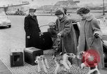 Image of International dog show Berlin Germany, 1954, second 18 stock footage video 65675045472