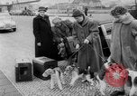 Image of International dog show Berlin Germany, 1954, second 19 stock footage video 65675045472