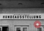 Image of International dog show Berlin Germany, 1954, second 24 stock footage video 65675045472