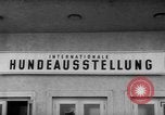 Image of International dog show Berlin Germany, 1954, second 25 stock footage video 65675045472