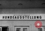 Image of International dog show Berlin Germany, 1954, second 26 stock footage video 65675045472
