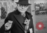 Image of International dog show Berlin Germany, 1954, second 31 stock footage video 65675045472