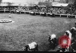 Image of Grand National Steeplechase United Kingdom, 1954, second 13 stock footage video 65675045473
