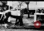 Image of Grand National Steeplechase United Kingdom, 1954, second 16 stock footage video 65675045473