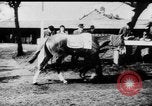 Image of Grand National Steeplechase United Kingdom, 1954, second 18 stock footage video 65675045473