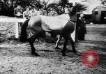 Image of Grand National Steeplechase United Kingdom, 1954, second 22 stock footage video 65675045473