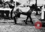 Image of Grand National Steeplechase United Kingdom, 1954, second 23 stock footage video 65675045473