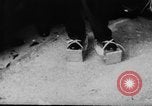 Image of Grand National Steeplechase United Kingdom, 1954, second 35 stock footage video 65675045473
