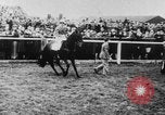 Image of Grand National Steeplechase United Kingdom, 1954, second 48 stock footage video 65675045473