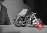 Standbild Sittich Circus Holland Niederlande, 1958, aus Sekunde 15 historischem Filmmaterial Videoclip 65675045481
