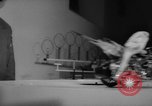 Standbild Sittich Circus Holland Niederlande, 1958, aus Sekunde 19 historischem Filmmaterial Videoclip 65675045481