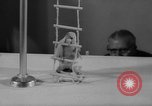 Standbild Sittich Circus Holland Niederlande, 1958, aus Sekunde 26 historischem Filmmaterial Videoclip 65675045481