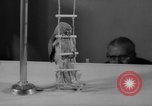 Standbild Sittich Circus Holland Niederlande, 1958, aus Sekunde 27 historischem Filmmaterial Videoclip 65675045481