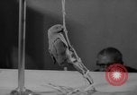 Standbild Sittich Circus Holland Niederlande, 1958, aus Sekunde 28 historischem Filmmaterial Videoclip 65675045481