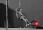 Standbild Sittich Circus Holland Niederlande, 1958, aus Sekunde 29 historischem Filmmaterial Videoclip 65675045481