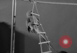 Standbild Sittich Circus Holland Niederlande, 1958, aus Sekunde 31 historischem Filmmaterial Videoclip 65675045481