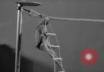 Standbild Sittich Circus Holland Niederlande, 1958, aus Sekunde 32 historischem Filmmaterial Videoclip 65675045481