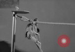 Standbild Sittich Circus Holland Niederlande, 1958, aus Sekunde 33 historischem Filmmaterial Videoclip 65675045481