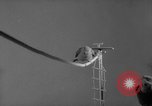 Standbild Sittich Circus Holland Niederlande, 1958, aus Sekunde 36 historischem Filmmaterial Videoclip 65675045481