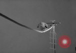 Standbild Sittich Circus Holland Niederlande, 1958, aus Sekunde 37 historischem Filmmaterial Videoclip 65675045481