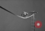 Standbild Sittich Circus Holland Niederlande, 1958, aus Sekunde 38 historischem Filmmaterial Videoclip 65675045481