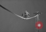 Standbild Sittich Circus Holland Niederlande, 1958, aus Sekunde 39 historischem Filmmaterial Videoclip 65675045481