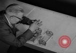 Standbild Sittich Circus Holland Niederlande, 1958, aus Sekunde 49 historischem Filmmaterial Videoclip 65675045481