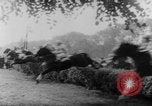 Image of 78th Annual Steeplechase Czechoslovakia, 1967, second 8 stock footage video 65675045491