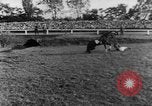 Image of 78th Annual Steeplechase Czechoslovakia, 1967, second 18 stock footage video 65675045491