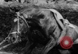 Image of 78th Annual Steeplechase Czechoslovakia, 1967, second 45 stock footage video 65675045491