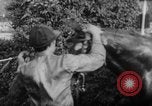 Image of 78th Annual Steeplechase Czechoslovakia, 1967, second 46 stock footage video 65675045491