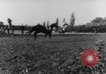 Image of 78th Annual Steeplechase Czechoslovakia, 1967, second 56 stock footage video 65675045491