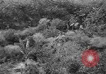 Standbild USA Soldaten United States USA, 1943, aus Sekunde 27 historischem Filmmaterial Videoclip 65675045493
