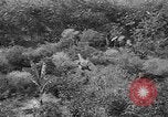 Standbild USA Soldaten United States USA, 1943, aus Sekunde 28 historischem Filmmaterial Videoclip 65675045493