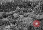 Standbild USA Soldaten United States USA, 1943, aus Sekunde 29 historischem Filmmaterial Videoclip 65675045493