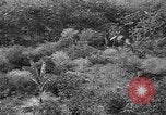 Standbild USA Soldaten United States USA, 1943, aus Sekunde 30 historischem Filmmaterial Videoclip 65675045493