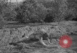 Standbild USA Soldaten United States USA, 1943, aus Sekunde 32 historischem Filmmaterial Videoclip 65675045493
