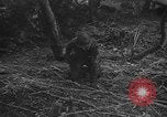 Standbild USA Soldaten United States USA, 1943, aus Sekunde 47 historischem Filmmaterial Videoclip 65675045493