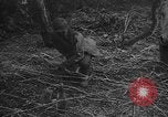 Standbild USA Soldaten United States USA, 1943, aus Sekunde 50 historischem Filmmaterial Videoclip 65675045493