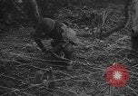 Standbild USA Soldaten United States USA, 1943, aus Sekunde 53 historischem Filmmaterial Videoclip 65675045493