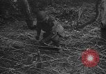 Standbild USA Soldaten United States USA, 1943, aus Sekunde 54 historischem Filmmaterial Videoclip 65675045493